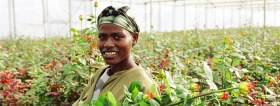 ILO: Working poverty remains main concern for young people in Sub-Saharan Africa (VIDEO)
